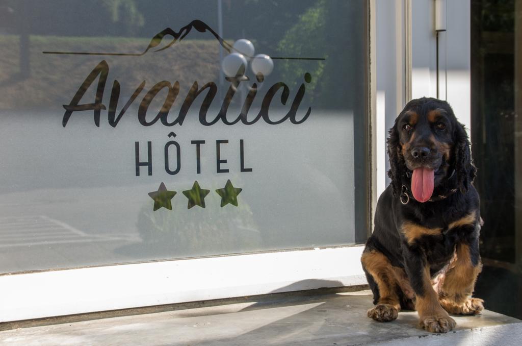 Cit'Hotel Avantici Gap Bagian luar foto